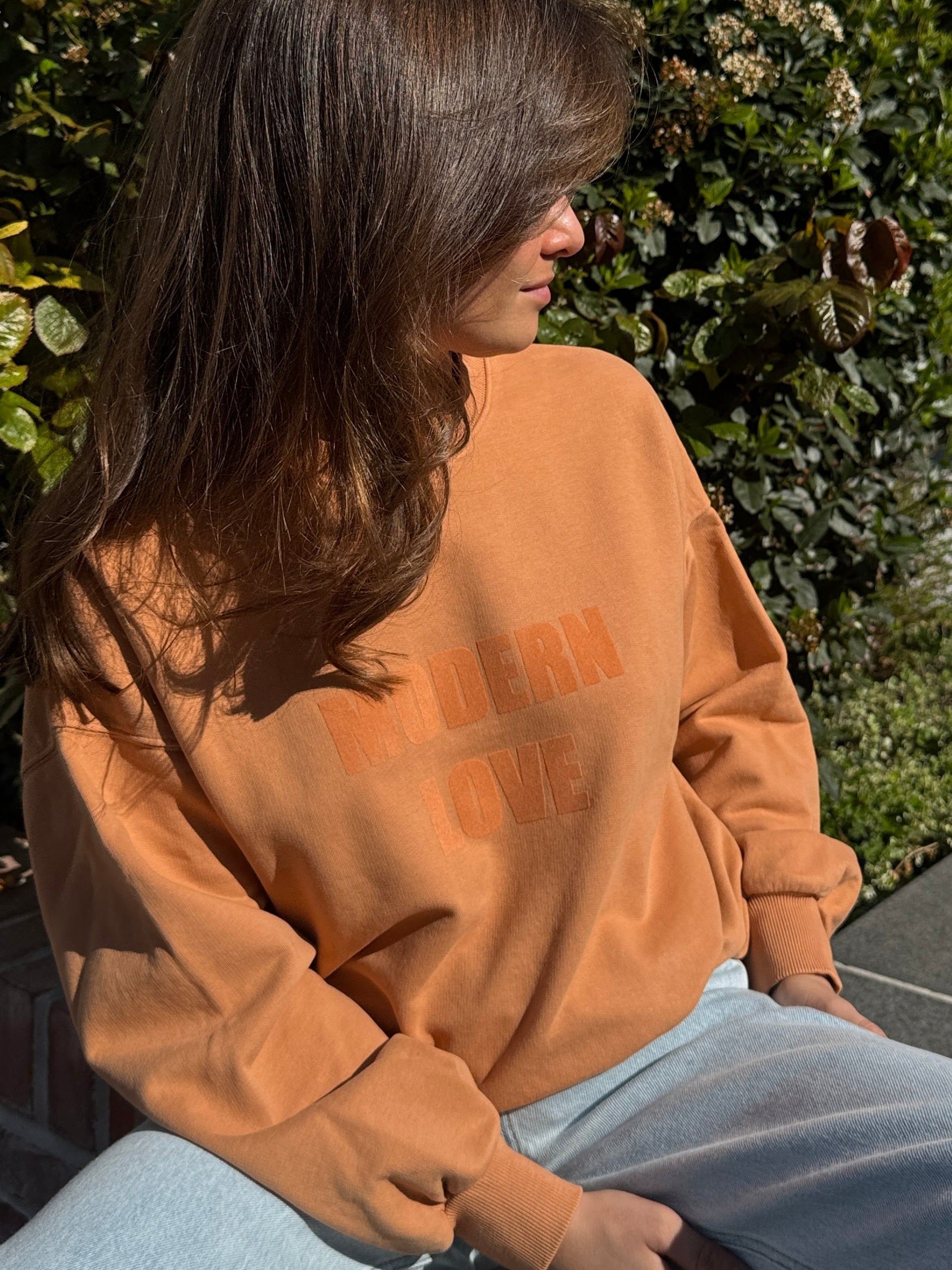 Romy clay sweatshirt