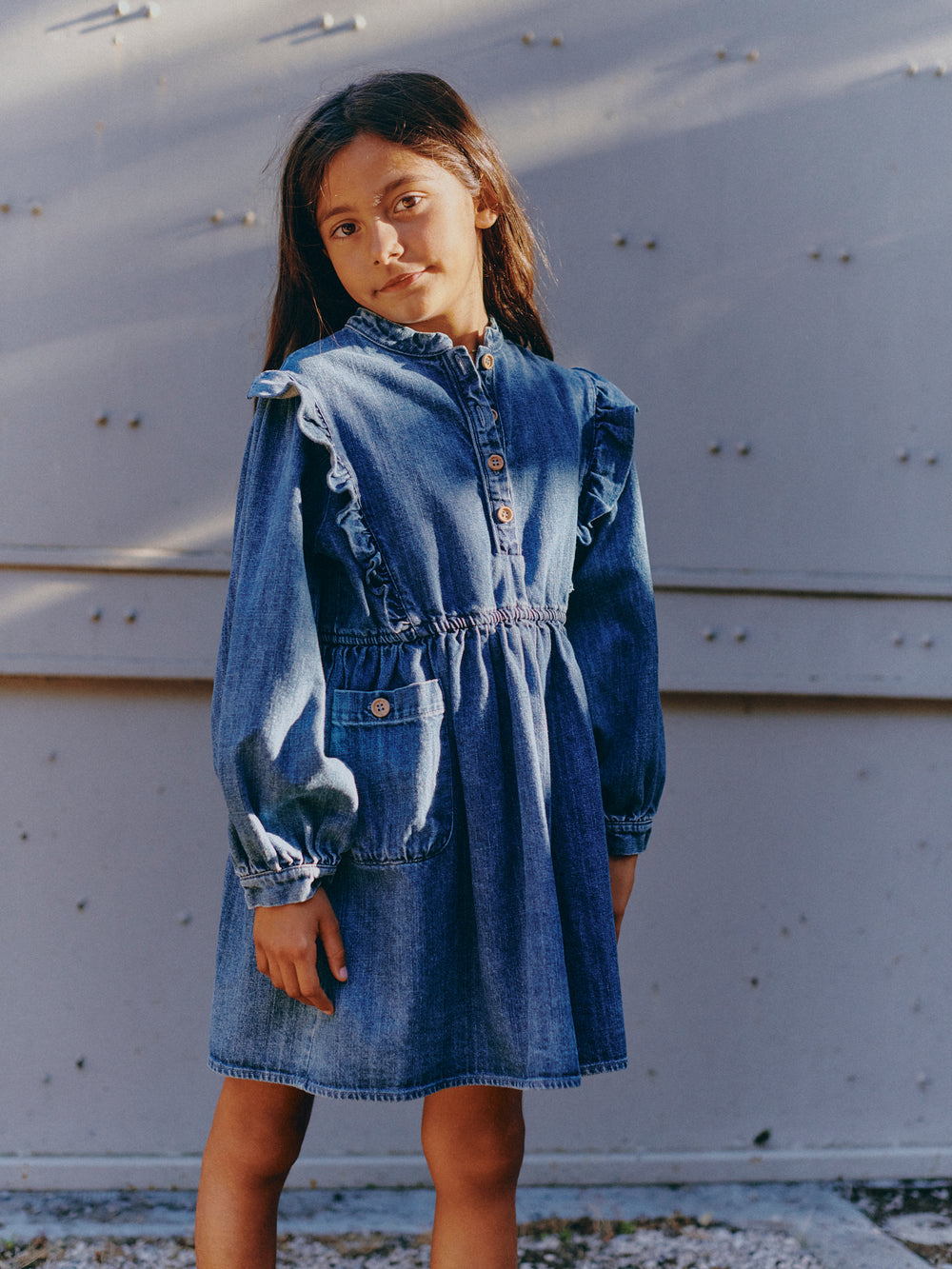 Emilie denim dress