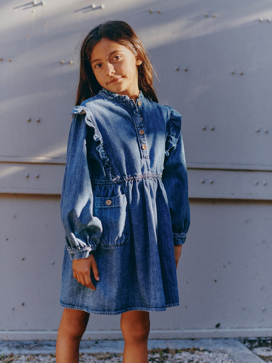 Emilie denim dress