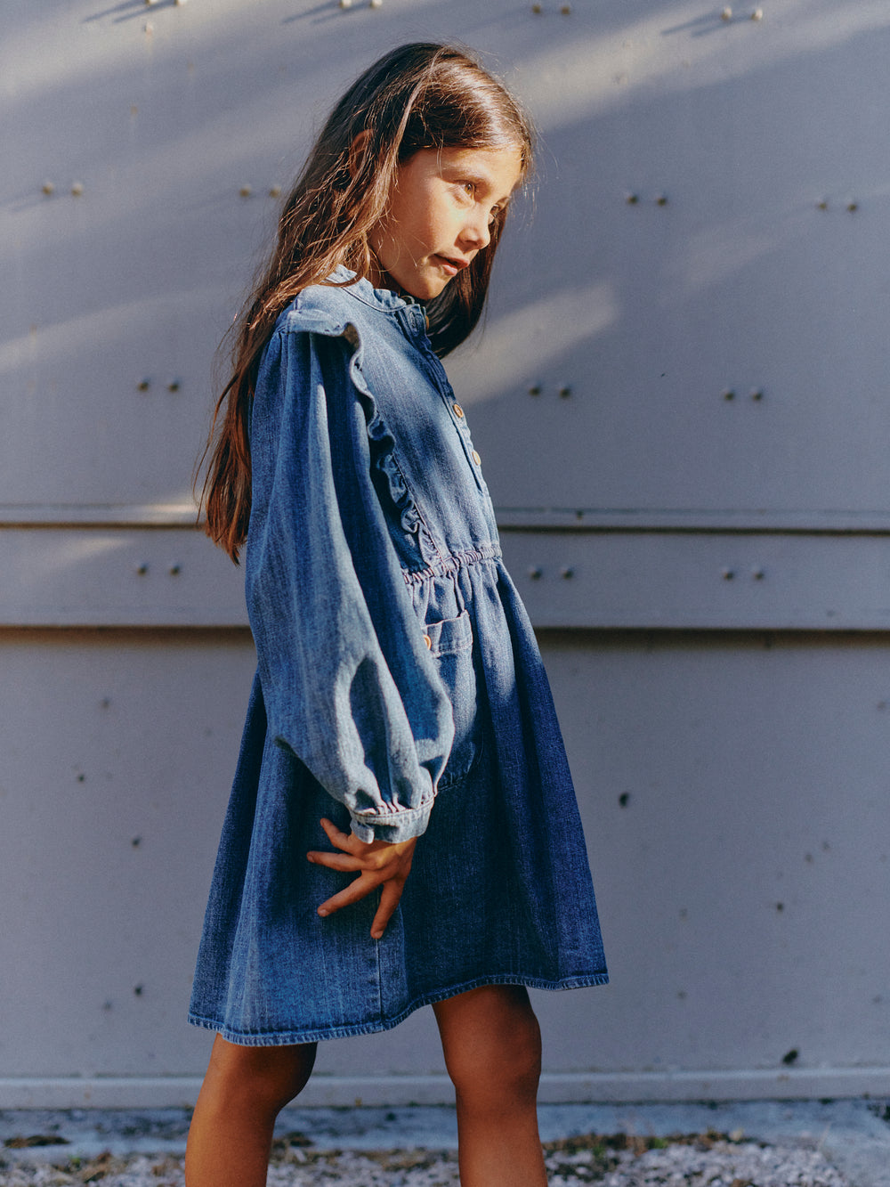 Emilie denim dress